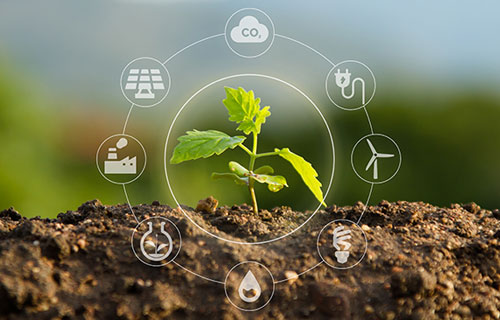 ISO 14001 / 45001